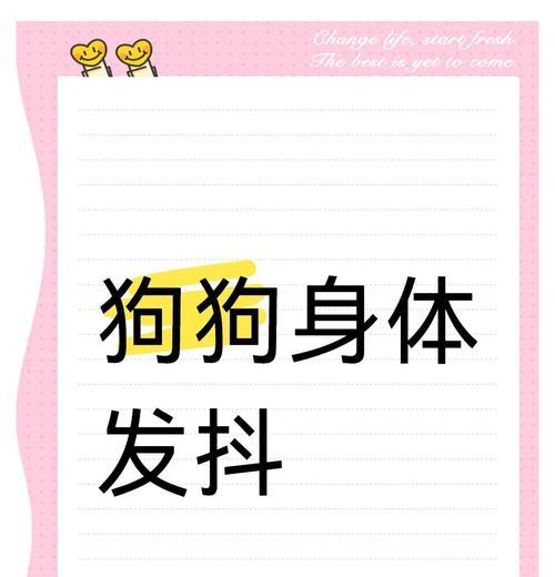 如何帮助受到惊吓的狗狗安抚恢复（瑟瑟发抖的狗狗需要怎样的安抚？）