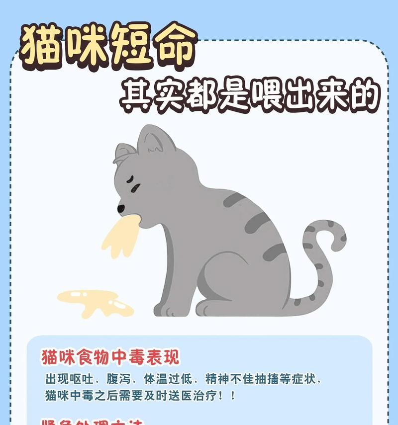 猫的绝食能力及其影响（探究猫咪可以多久不进食的原因及对身体的影响）