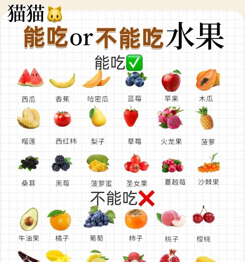 猫咪的饮食与体重管理（如何控制猫咪的饮食量以保持健康体重）