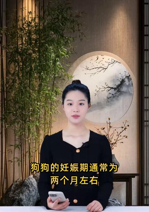 狗狗怀孕期间应遛多久？（怀孕犬的适度运动是关键）