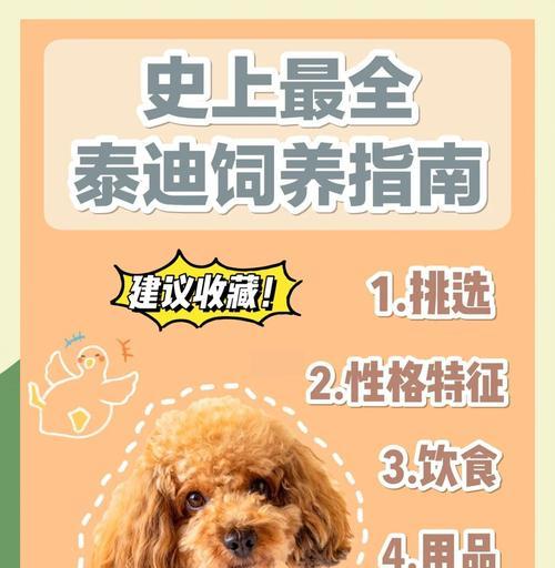 泰迪小狗的睁眼过程与时间（探索泰迪小狗眼睑张开的奇妙旅程）