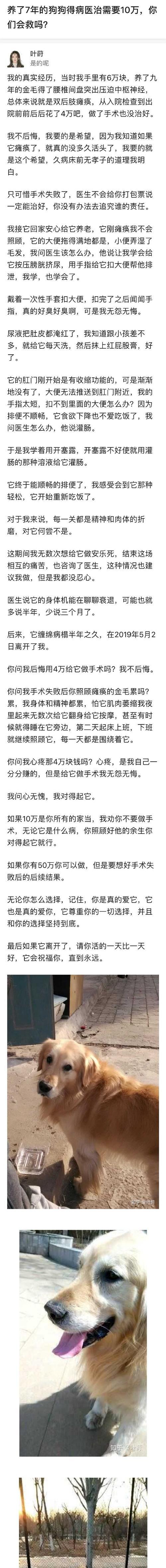 常见易患疾病的狗品种（了解不同品种狗的健康问题及预防措施）