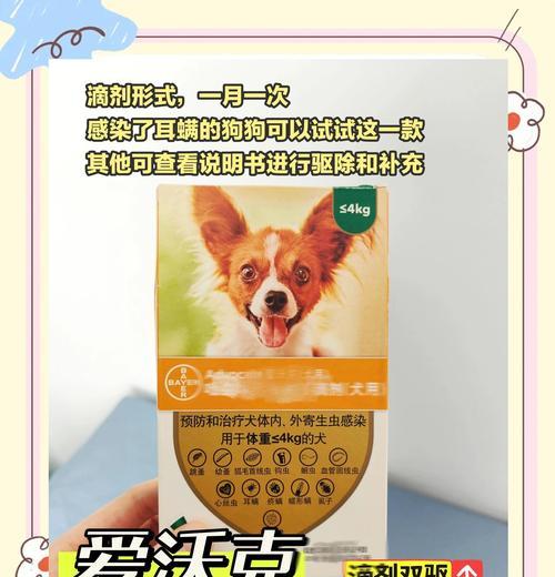 小狗吃驱虫药后多久可以喂食的时间安排（科学合理的喂食时间是保障小狗健康成长的关键）