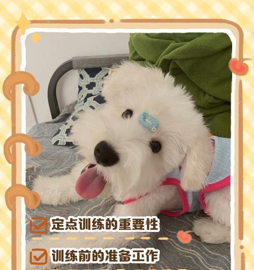 训练狗狗一叫就回（怎样训练让狗狗叫他就叫，告别担心狗狗乱跑的困扰）