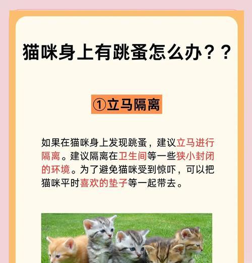 跳蚤卵的孵化时间及相关知识（探讨跳蚤卵的孵化周期和影响因素）