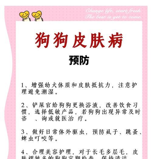 小狗皮肤病的治愈时间究竟需要多久？（探寻小狗皮肤病康复的关键因素和过程）