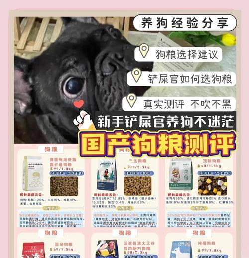 如何确定每日应该喂狗狗多少狗粮？（根据实际情况去决定，让宠物狗健康成长）