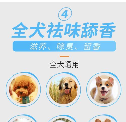 小泰迪长螨虫治愈时间（探索小泰迪治疗螨虫的时间和方法）