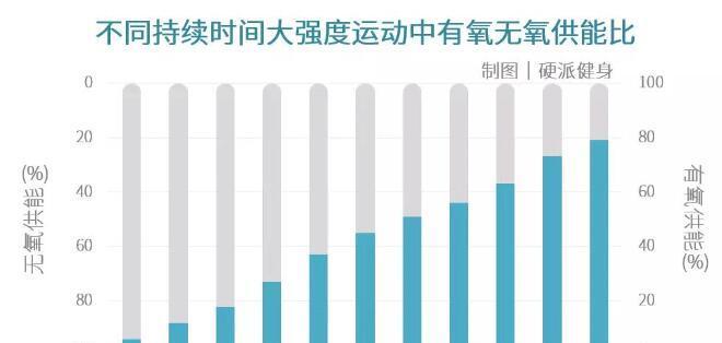 大型犬每天应该运动多久？（为了宠物的健康，我们需要关注运动需求）