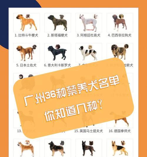 养小狗多久能生小狗的关键因素（从品种到健康状况，影响小狗生育的重要因素）