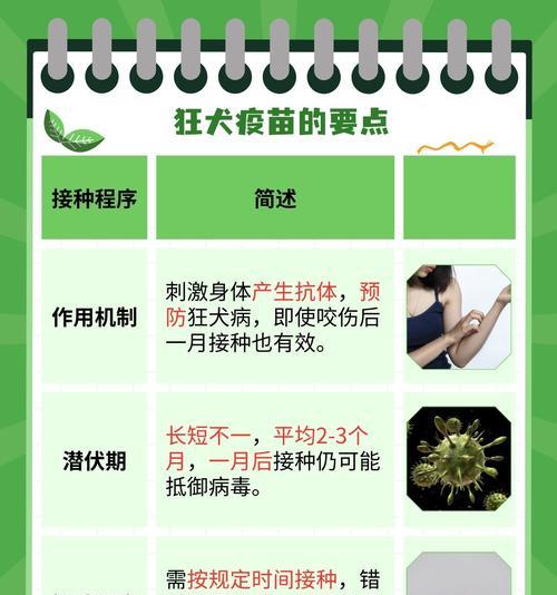 以串狗的疫苗接种指南（了解串狗疫苗的种类和接种时间，保护你的宠物免受疾病侵害）