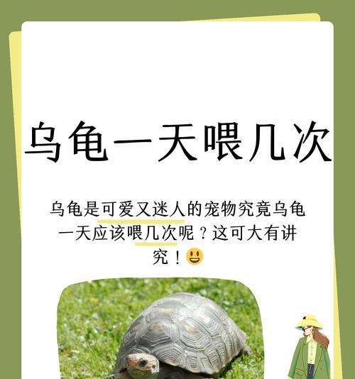 乌龟的寿命究竟有多长？（探秘不同品种乌龟的寿命长短，你知道吗？）