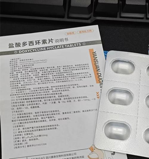 狗狗感冒的症状及药物治疗（了解狗狗感冒的常见症状和适用药物，保护你的宠物健康）