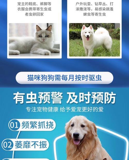 小贵宾犬出生后多久要驱虫？（小贵宾犬驱虫的重要性及最佳时机）