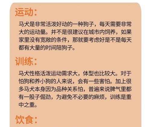 如何挑选马犬幼犬？8个小技巧教给你！（详细指南帮助您选择适合的马犬幼犬，避免决策困扰）