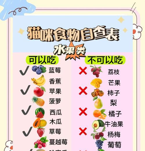 小猫咪多久可以吃东西？（探讨小猫咪的饮食时间和习惯）