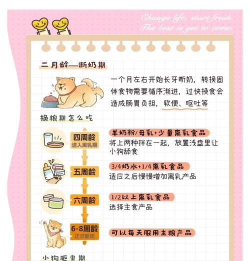 如何照顾刚出生两个月的幼犬（探索幼犬时期的8条建议，打造快乐成长之路）