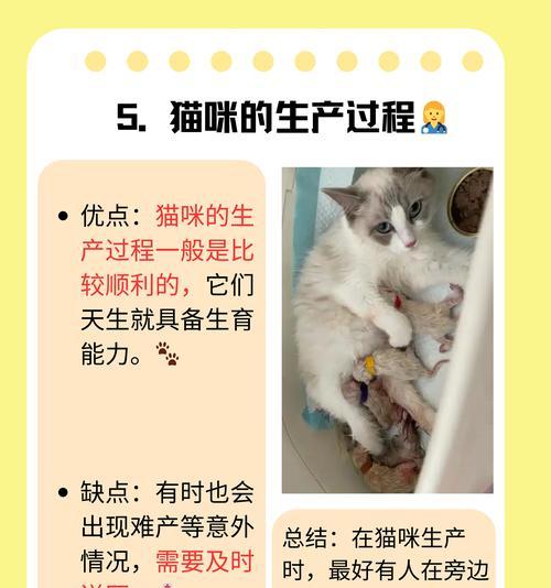 家猫的寿命（探讨家猫的寿命因素和寿命延长的方法）