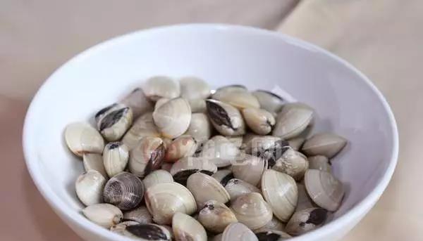 龟类的食物搭配与观赏（探究肉素两食类动物龟类的理想食物搭配）