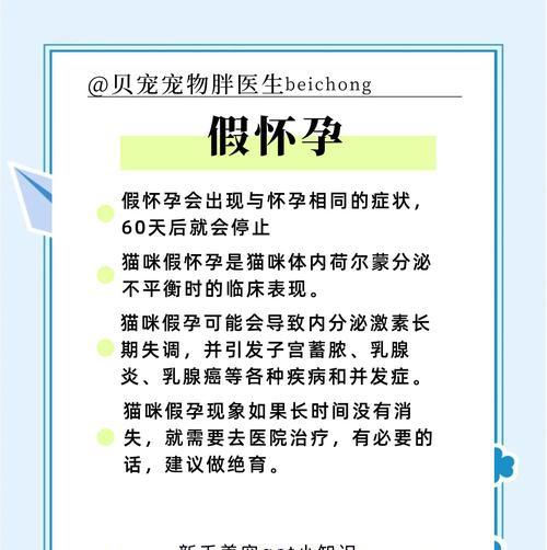 猫咪长胖和怀孕的区别与应对方法（猫咪的身体变化和正确的护理方法）