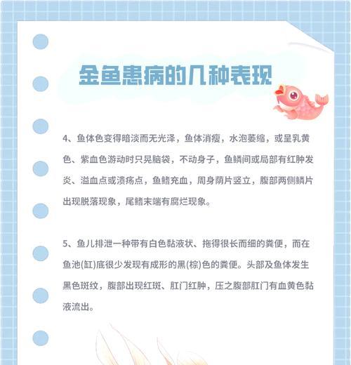 金鱼鱼鳃发红的治疗方法解析（疾病诊断和鱼缸维护的重要性）