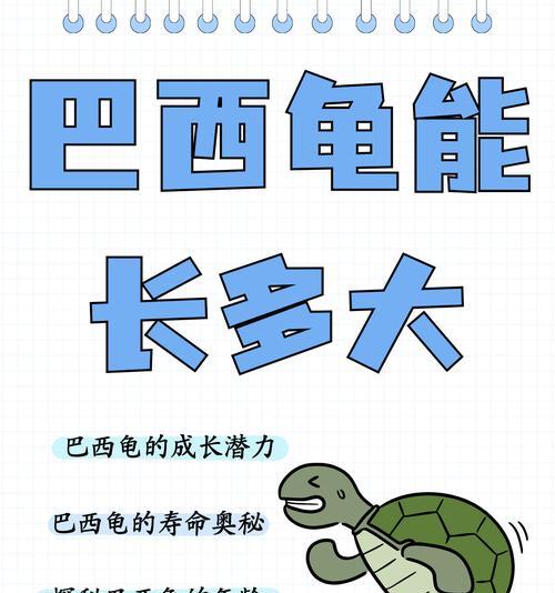 乌龟的寿命之谜（揭秘乌龟寿命之长）
