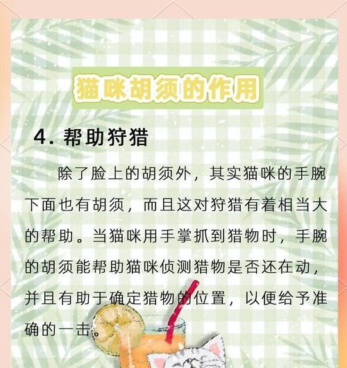 猫咪掉胡子的原因揭秘（了解猫咪胡须脱落的原因及相关信息）