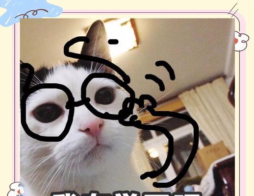 不适宜养猫的人群（为什么这些人不适合养猫？）