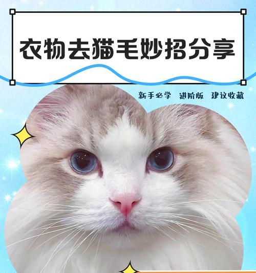 猫毛生长周期与特点（解密猫毛的生长奥秘，探索猫毛生长的时间与特征）
