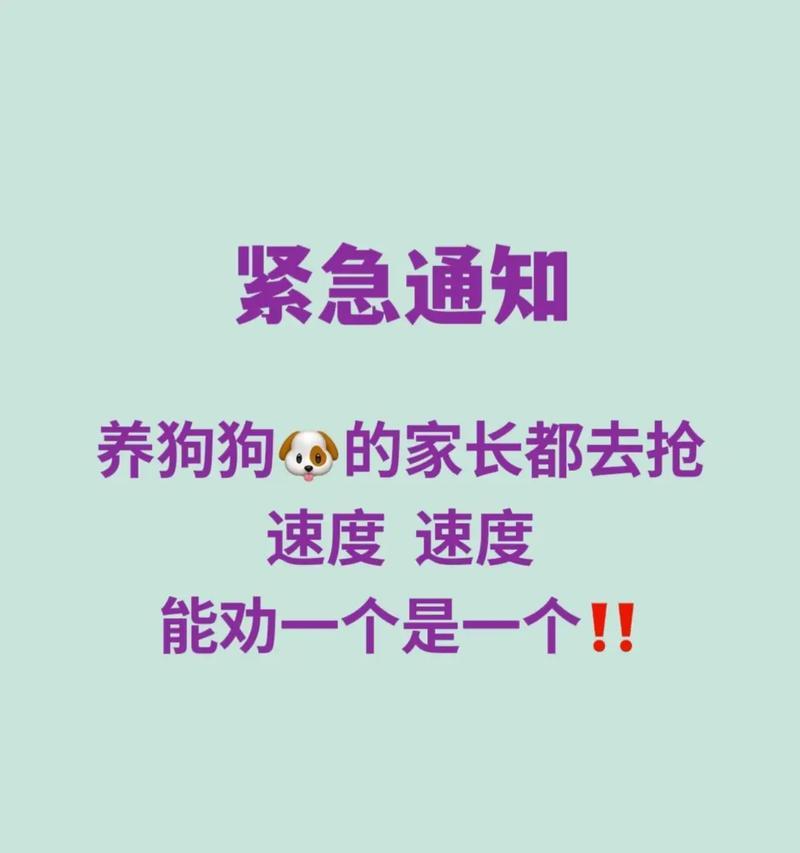 狗狗的多功能特性（探索狗狗在生活中的多种用途）