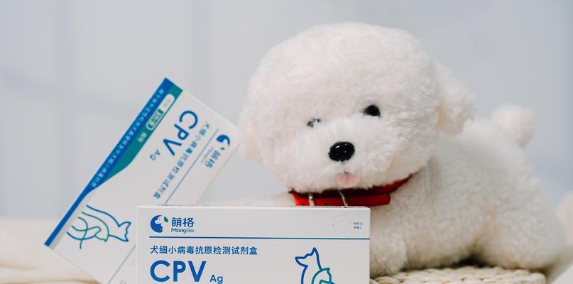 狗狗成年后需要打哪些疫苗？（主人需要给它每年打一次，保护它免受疾病侵害）