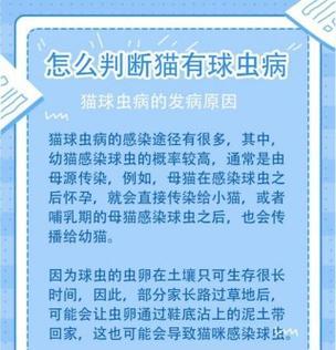 狗狗球虫恢复健康的时间（揭秘狗狗球虫治疗的关键步骤及时间长度）