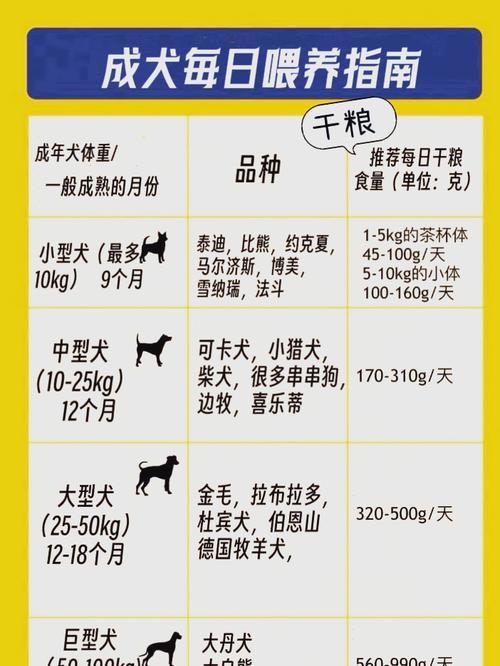 狗什么时候能自己进食？（探索狗狗断奶后的自主进食能力）