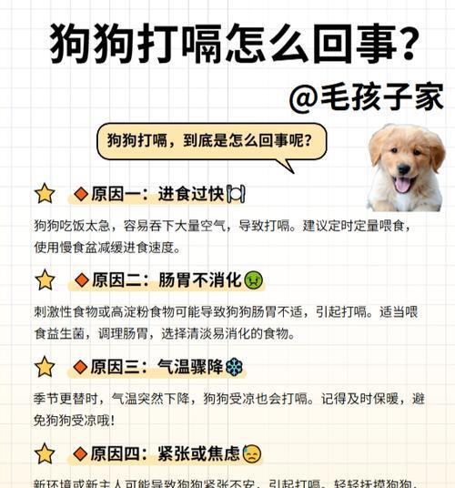 两个月大的狗食物消化时间有多久？（了解幼犬食物消化过程中的关键因素）
