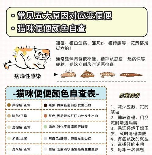 小猫不排便的原因及处理方法（解析小猫不排便的几个关键因素及调理办法）