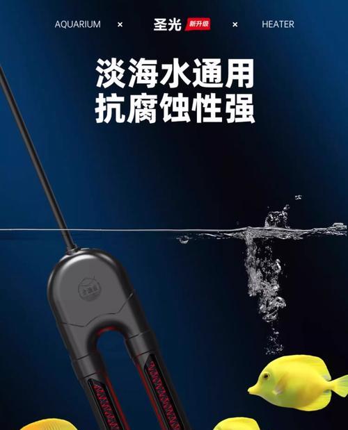 冬季鱼的生存技巧（鱼缸加热棒使用注意事项）
