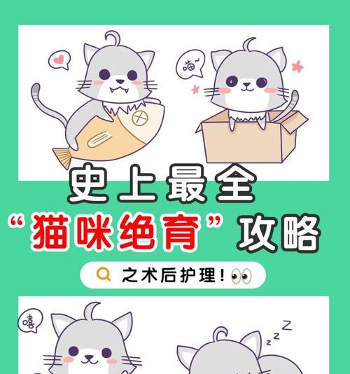 猫绝育手术后麻药多久退完？（了解猫绝育手术后麻药消退的时间和注意事项）