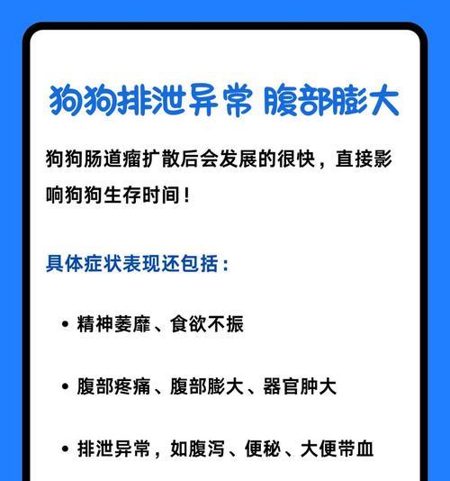 狗狗拉稀的症状及原因分析（详解导致狗狗拉稀的主要因素与应对措施）