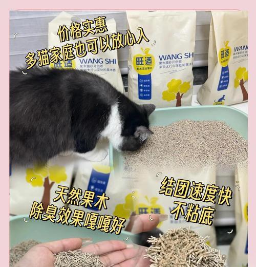 如何安全处理废弃的猫砂（双层保障确保环境与健康）