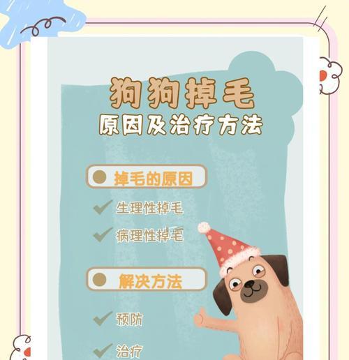 狗狗的理发频率和注意事项（为狗狗剪毛需要多久一次？如何正确理发你的狗狗？）