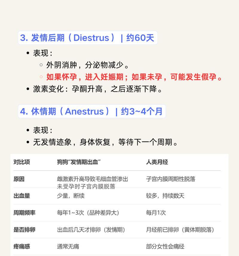 金毛大姨妈周期和特点解析（金毛大姨妈来多久一次？了解金毛姨妈周期的重要性）