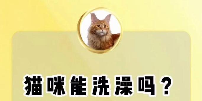 配猫后多久可以给猫洗澡？（了解适宜的洗澡时间和注意事项）