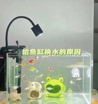 深入了解养鱼水中的重要物质（探究养鱼中不可忽视的关键成分及其作用）