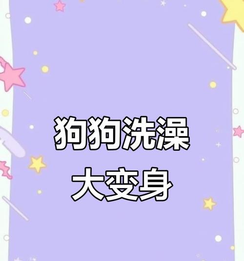 如何合理地给3个月小狗洗澡（了解适当的洗澡频率，让小狗健康舒适）