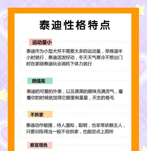 探讨泰迪犬的优缺点（一窥泰迪犬的特性与魅力）