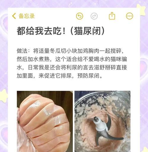 猫咪的饮食要点（探究猫咪每多久吃一次鸡胸肉的最佳频率）