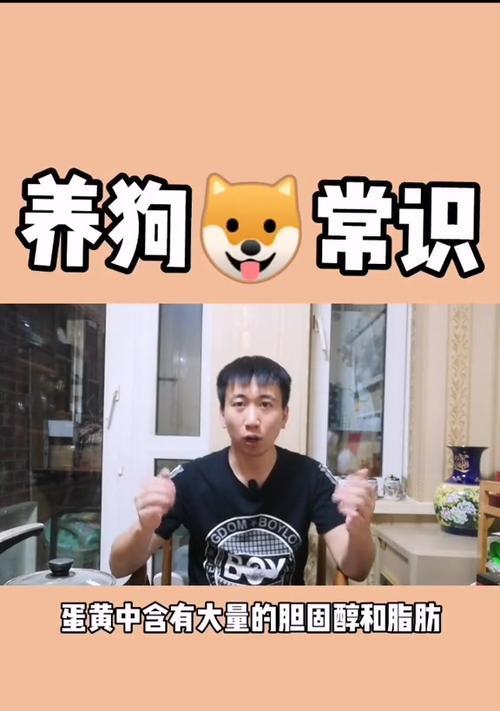 狗狗吃蛋黄的频率和好处（每多久狗狗可以吃一个蛋黄？蛋黄对狗狗的好处是什么？）