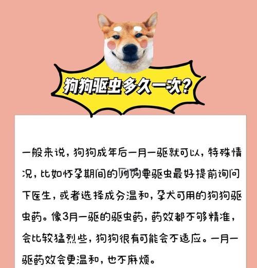 狗狗驱虫药的正确使用方法及注意事项（保护狗狗健康，正确使用驱虫药才是关键）