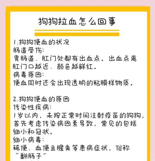 狗狗饭后多久拉屎撒尿的时间规律（探索狗狗排泄的奥秘，帮助主人更好地照顾宠物）