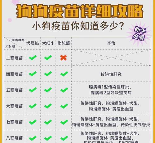 小狗打疫苗的最佳时间和顺序安排（以驱虫后多久打疫苗？如何正确保护小狗健康成长？）